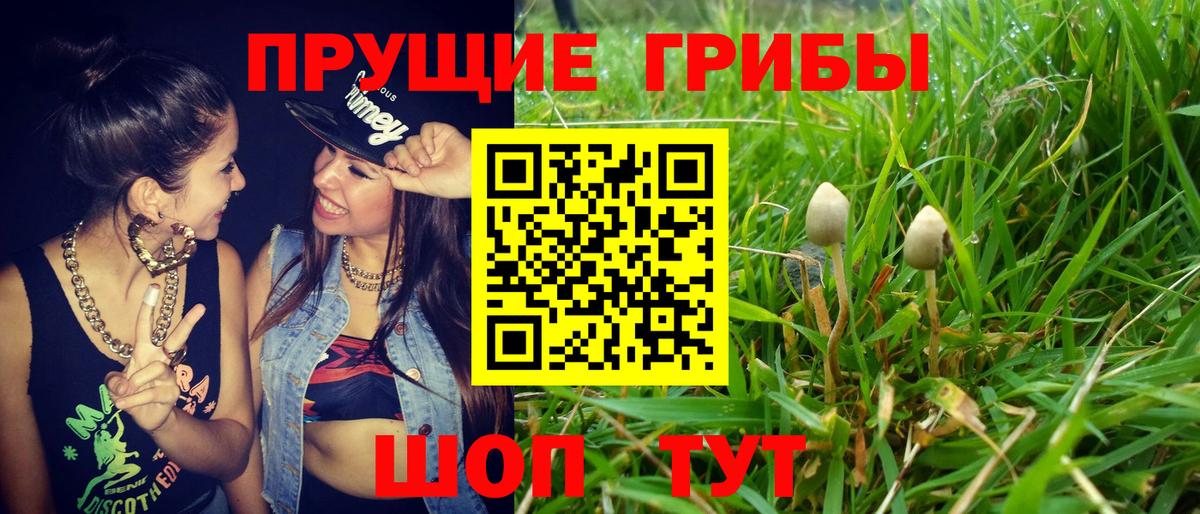 Галлюциногенные грибы мицелий Соликамск
