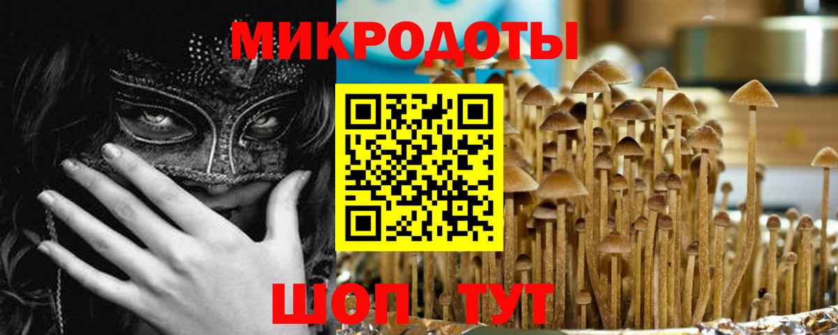 Псилоцибиновые грибы GOLDEN TEACHER  Галлюциногенные грибы Psilocybe  Соликамск  Вход с VPN 